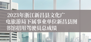  2023年浙江新昌县文化广电旅游局下属事业单位新昌县图书馆招用驾驶员总成绩