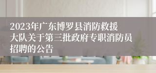 2023年广东博罗县消防救援大队关于第三批政府专职消防员招聘的公告