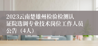 2023云南楚雄州检验检测认证院选调专业技术岗位工作人员公告（4人）