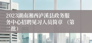 2023湖南湘西泸溪县政务服务中心招聘见习人员简章 （第二批）