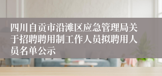 四川自贡市沿滩区应急管理局关于招聘聘用制工作人员拟聘用人员名单公示