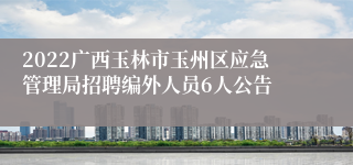 2022广西玉林市玉州区应急管理局招聘编外人员6人公告