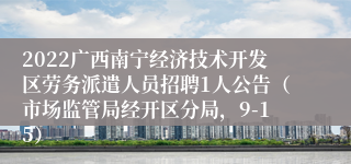 2022广西南宁经济技术开发区劳务派遣人员招聘1人公告（市场监管局经开区分局，9-15）