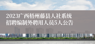 2023广西梧州藤县人社系统招聘编制外聘用人员5人公告