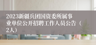 2023新疆兵团国资委所属事业单位公开招聘工作人员公告（2人）