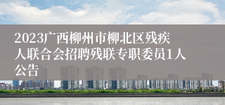 2023广西柳州市柳北区残疾人联合会招聘残联专职委员1人公告