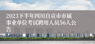 2023下半年四川自贡市市属事业单位考试聘用人员56人公告