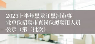 2023上半年黑龙江黑河市事业单位招聘市直岗位拟聘用人员公示（第二批次）