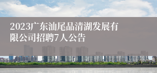 2023广东汕尾品清湖发展有限公司招聘7人公告