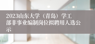 2023山东大学（青岛）学工部非事业编制岗位拟聘用人选公示