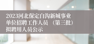 2023河北保定白沟新城事业单位招聘工作人员 （第三批）拟聘用人员公示