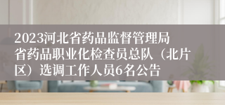 2023河北省药品监督管理局省药品职业化检查员总队（北片区）选调工作人员6名公告