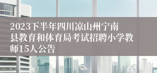 2023下半年四川凉山州宁南县教育和体育局考试招聘小学教师15人公告
