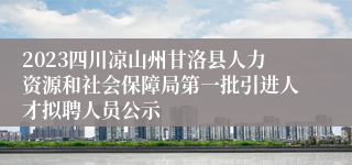 2023四川凉山州甘洛县人力资源和社会保障局第一批引进人才拟聘人员公示