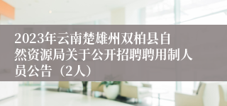 2023年云南楚雄州双柏县自然资源局关于公开招聘聘用制人员公告（2人）