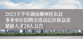 2023下半年湖南郴州桂东县事业单位招聘引进高层次和急需紧缺人才28人公告