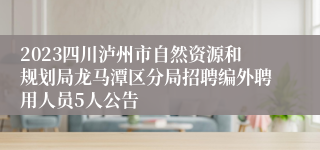 2023四川泸州市自然资源和规划局龙马潭区分局招聘编外聘用人员5人公告