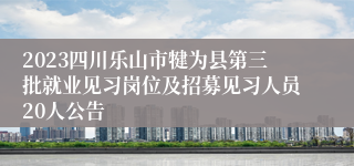 2023四川乐山市犍为县第三批就业见习岗位及招募见习人员20人公告