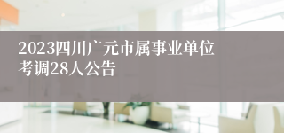 2023四川广元市属事业单位考调28人公告