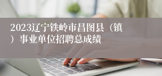 2023辽宁铁岭市昌图县（镇）事业单位招聘总成绩