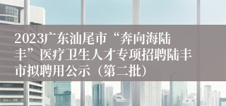 2023广东汕尾市“奔向海陆丰”医疗卫生人才专项招聘陆丰市拟聘用公示（第二批）