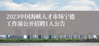 2023中国海峡人才市场宁德工作部公开招聘1人公告