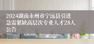 2024湖南永州市宁远县引进急需紧缺高层次专业人才28人公告