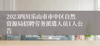 2023四川乐山市市中区自然资源局招聘劳务派遣人员1人公告