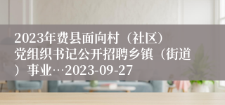 2023年费县面向村（社区）党组织书记公开招聘乡镇（街道）事业…2023-09-27