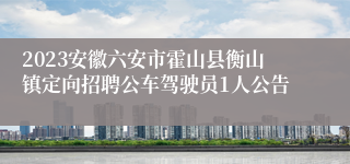 2023安徽六安市霍山县衡山镇定向招聘公车驾驶员1人公告