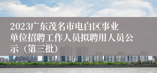 2023广东茂名市电白区事业单位招聘工作人员拟聘用人员公示（第三批）