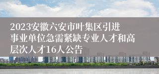 2023安徽六安市叶集区引进事业单位急需紧缺专业人才和高层次人才16人公告