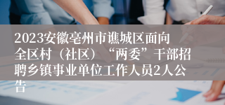 2023安徽亳州市谯城区面向全区村（社区）“两委”干部招聘乡镇事业单位工作人员2人公告