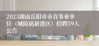 2023湖南岳阳市市直事业单位（城陵矶新港区）招聘59人公告