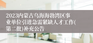 2023内蒙古乌海海勃湾区事业单位引进急需紧缺人才工作(第二批)补充公告