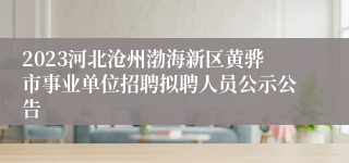 2023河北沧州渤海新区黄骅市事业单位招聘拟聘人员公示公告