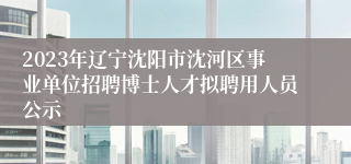 2023年辽宁沈阳市沈河区事业单位招聘博士人才拟聘用人员公示