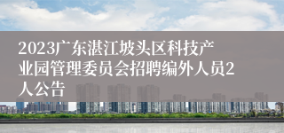 2023广东湛江坡头区科技产业园管理委员会招聘编外人员2人公告