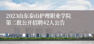 2023山东泰山护理职业学院第二批公开招聘42人公告