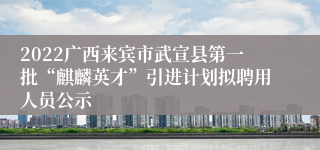 2022广西来宾市武宣县第一批“麒麟英才”引进计划拟聘用人员公示