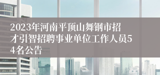 2023年河南平顶山舞钢市招才引智招聘事业单位工作人员54名公告