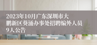 2023年10月广东深圳市大鹏新区葵涌办事处招聘编外人员9人公告