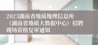 2023湖南省地质地理信息所（湖南省地质大数据中心）招聘现场资格复审通知