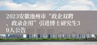 2023安徽池州市“政企双聘、政录企用”引进博士研究生30人公告