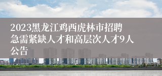 2023黑龙江鸡西虎林市招聘急需紧缺人才和高层次人才9人公告