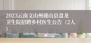 2023云南文山州砚山县盘龙卫生院招聘乡村医生公告（2人）