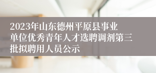 2023年山东德州平原县事业单位优秀青年人才选聘调剂第三批拟聘用人员公示