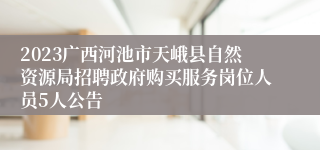 2023广西河池市天峨县自然资源局招聘政府购买服务岗位人员5人公告