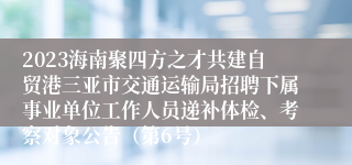 2023海南聚四方之才共建自贸港三亚市交通运输局招聘下属事业单位工作人员递补体检、考察对象公告（第6号）