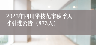 2023年四川攀枝花市秋季人才引进公告（873人）